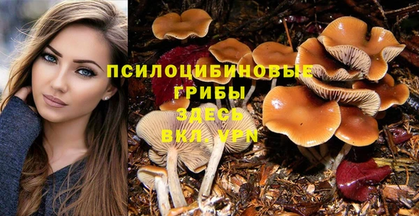 а пвп мука Абинск
