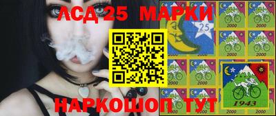 стаф Камышлов