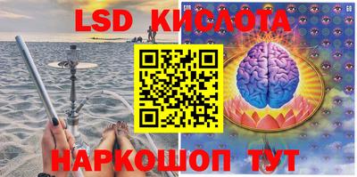 стаф Камышлов