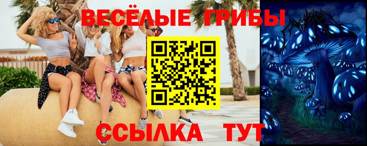 Галлюциногенные грибы Psilocybe  Галлюциногенные грибы прущие грибы  Вход с VPN  Кумертау 